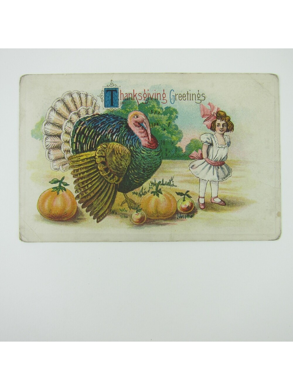 Thanksgiving Postcard Wild Turkey Girl Pumpkins Embossed Antique 1913